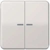 Лицевая панель Jung CD500 для 2-кл. выключателя с подсветкой светло-серый картинка